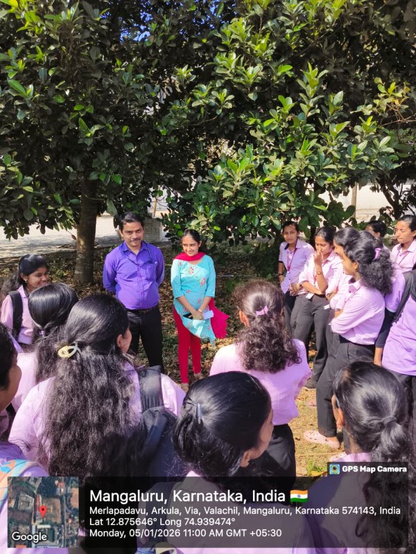 PLANTATION AND ADAPTATION OF A TREE