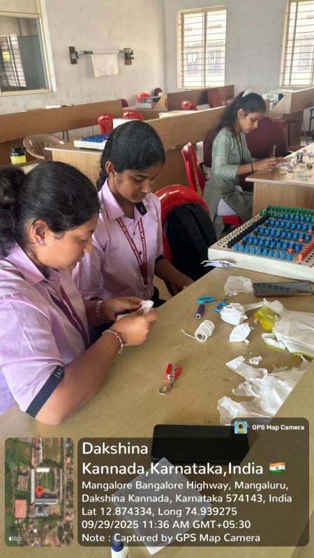 DASARA CELEBRATIONS - Image 2