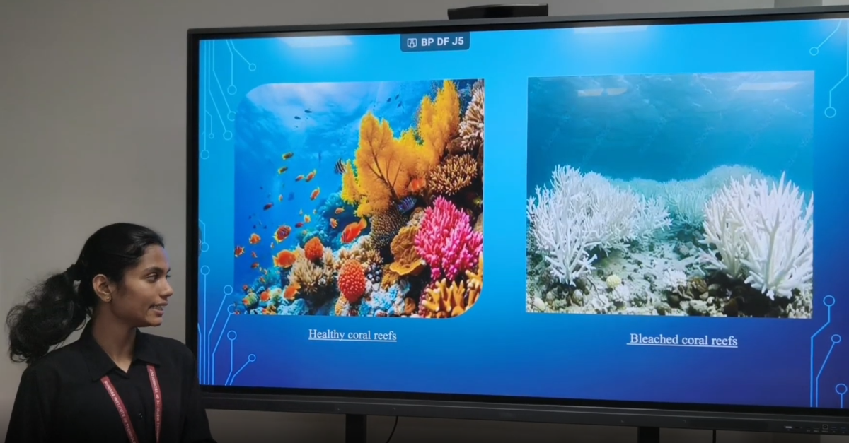 Showcasing AI Excellence: Student Innovation Projects - Image 2