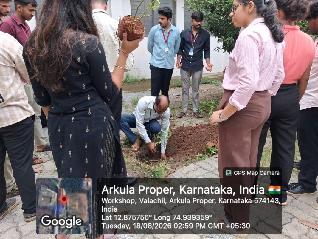 Plantation Drive - Image 3